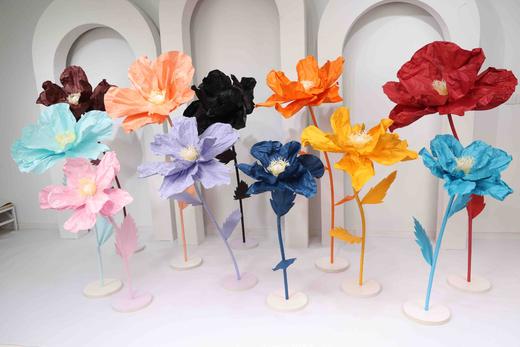 虞美人（运费自理） 商品图6