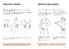 腹部功能康复训练 商品缩略图11