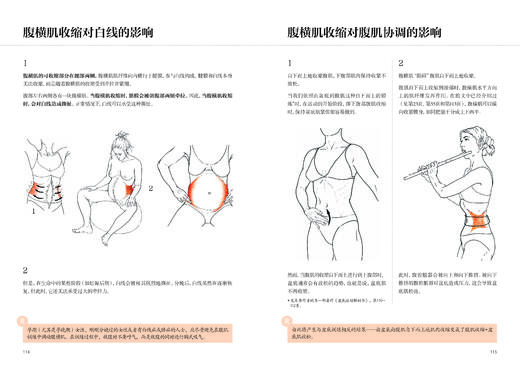 腹部功能康复训练 商品图11