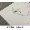 【无步骤】李长白工笔花鸟画白描底稿《双飞图》斗方小品册页-LB19 商品缩略图4