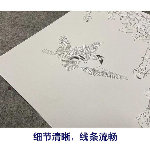 【无步骤】李长白工笔花鸟画白描底稿《双飞图》斗方小品册页-LB19 商品图4