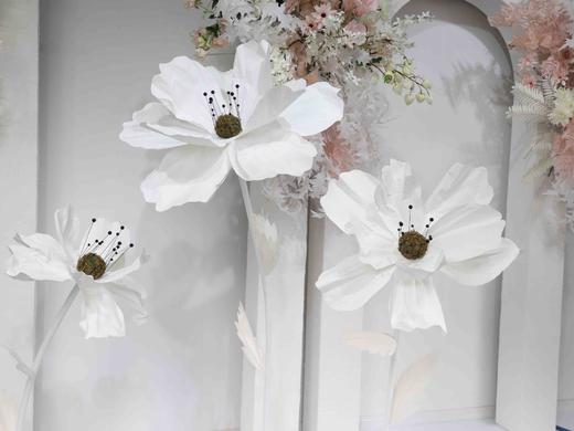 秋英（运费自理） 商品图2