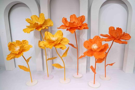 虞美人（运费自理） 商品图5