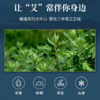 停售】羽心堂 野陈艾绒坐灸座垫 艾草热敷电热坐垫[福利品] 商品缩略图1
