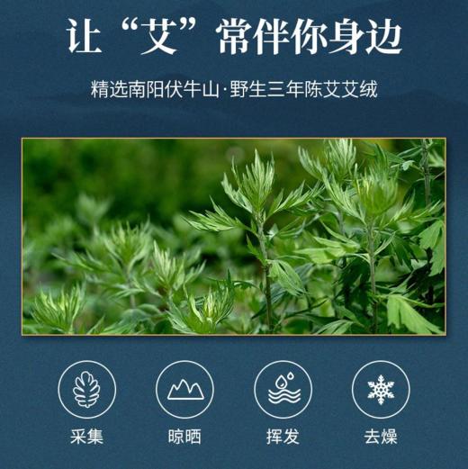 停售】羽心堂 野陈艾绒坐灸座垫 艾草热敷电热坐垫[福利品] 商品图1