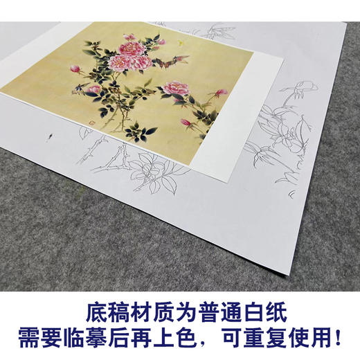 【无步骤】李长白工笔花鸟画白描底稿《月季飞碟图》斗方小品册页-LB21 商品图3