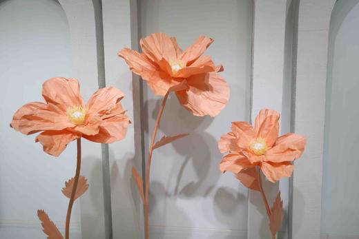 虞美人（运费自理） 商品图2