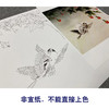 【无步骤】李长白工笔花鸟画白描底稿《双飞图》斗方小品册页-LB19 商品缩略图2