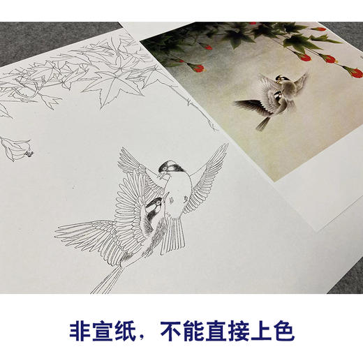 【无步骤】李长白工笔花鸟画白描底稿《双飞图》斗方小品册页-LB19 商品图2