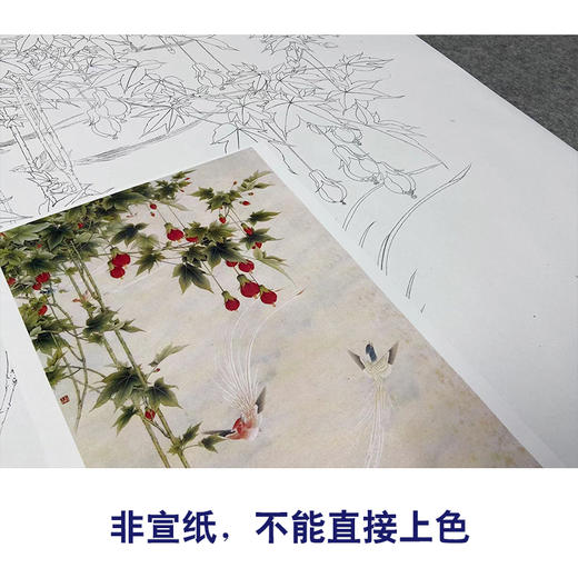 【无步骤】李长白竖幅工笔花鸟画白描底稿《树梅寿带》LB18 商品图2
