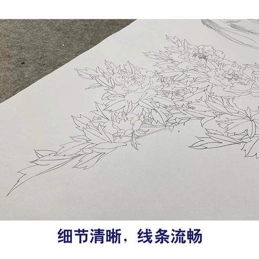 【无步骤】李长白竖幅工笔花鸟画白描底稿《牡丹寿带》LB13 商品图4