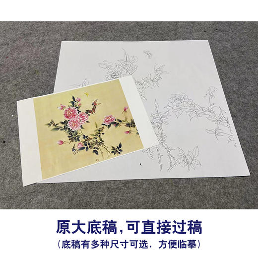 【无步骤】李长白工笔花鸟画白描底稿《月季飞碟图》斗方小品册页-LB21 商品图1