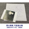 【无步骤】李长白工笔花鸟画白描底稿《白牡丹 》斗方小品册页-LB01 商品缩略图1