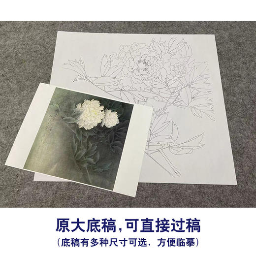 【无步骤】李长白工笔花鸟画白描底稿《白牡丹 》斗方小品册页-LB01 商品图1
