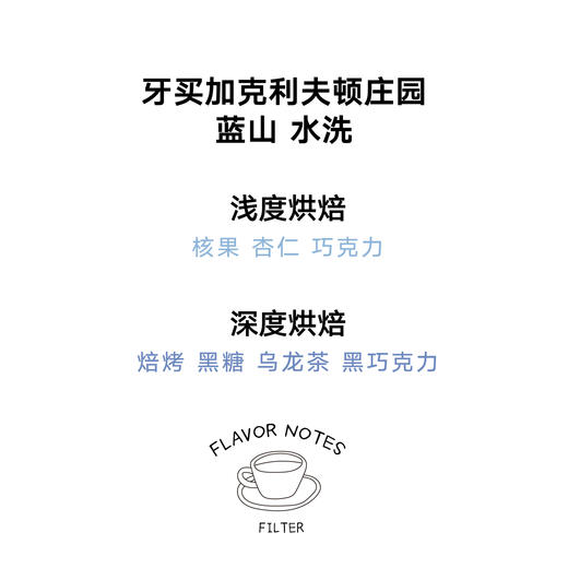 牙买加克利夫顿庄园蓝山水洗手冲咖啡豆 100g 商品图1
