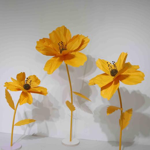 秋英（运费自理） 商品图11