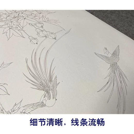 【无步骤】李长白竖幅工笔花鸟画白描底稿《树梅寿带》LB18 商品图4