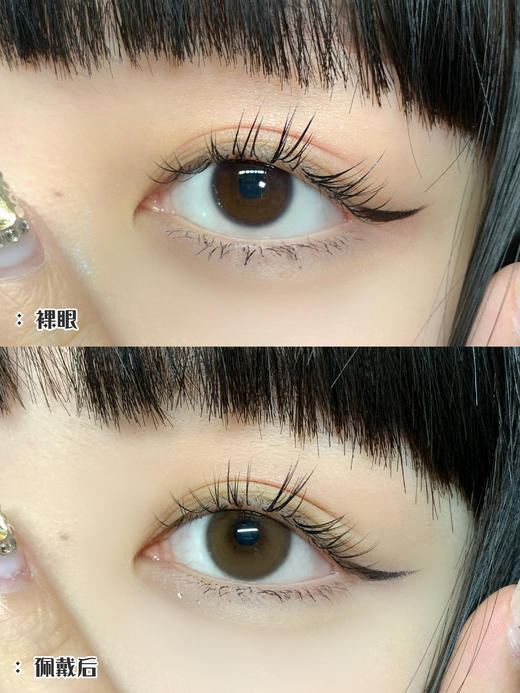 【Bariecat】日抛·套餐活动丨188/2盒 358/4盒 588/8盒 688/10盒（日抛/一盒10片装） 商品图3