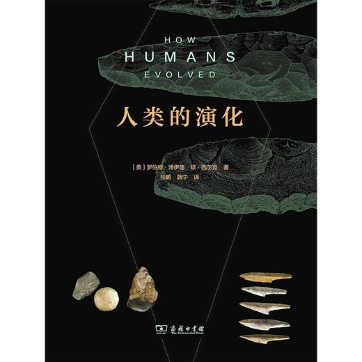 人类的演化 罗伯特·博伊德 著 科普 商品图2