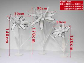 大丽花（运费自理）