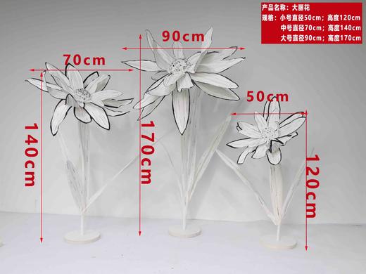 大丽花（运费自理） 商品图0