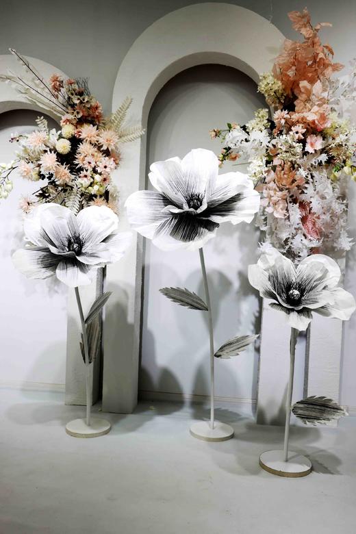 茶花（运费自理） 商品图2