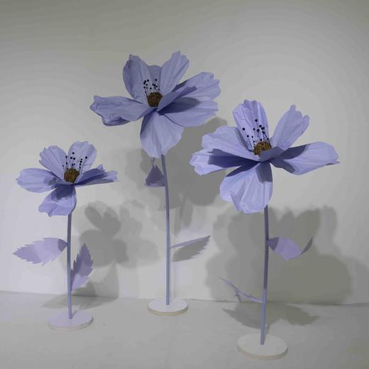 秋英（运费自理） 商品图10