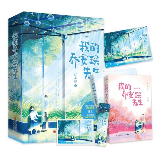 我的乔安琛先生 江小绿 著 青春文学 商品图0