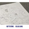 【无步骤】李长白工笔花鸟画白描底稿《黄牡丹  》斗方小品册页-LB09 商品缩略图4