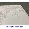 【无步骤】李长白工笔花鸟画白描底稿《春意》斗方小品册页-LB04 商品缩略图4