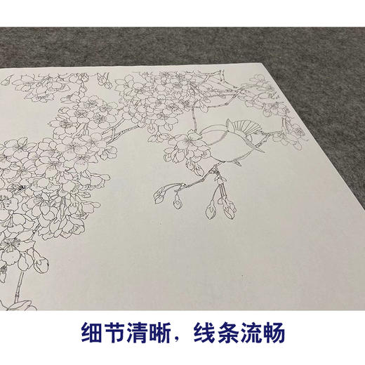 【无步骤】李长白工笔花鸟画白描底稿《春意》斗方小品册页-LB04 商品图4