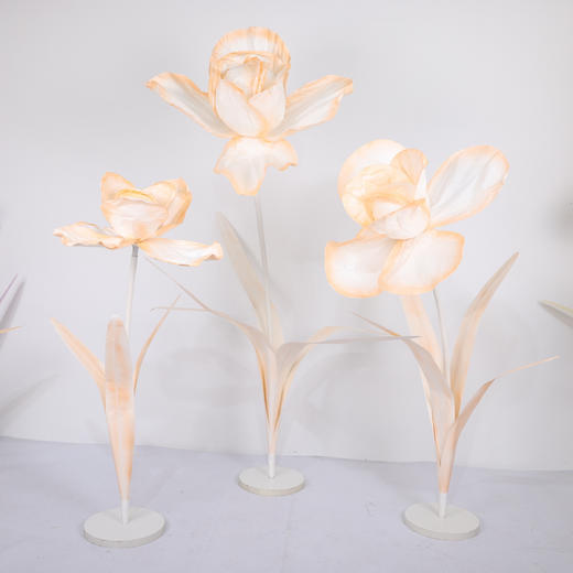 鸢尾花（运费自理） 商品图7