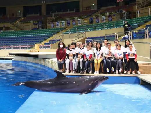 10.25/31/11.15/22/29【海淀·亲子|单飞·夜宿·自驾】北京海洋馆奇妙夜丨“以蔚蓝之名，共赴海洋之约 ” 商品图6