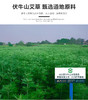 象艾益家 小太阳艾灸仪专用配方明火艾灸饼 15只/盒 商品缩略图1