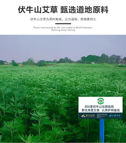 象艾益家 小太阳艾灸仪专用配方明火艾灸饼 15只/盒 商品图1