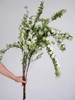 【周四秒杀】意境手球花一份49.8元 商品缩略图0