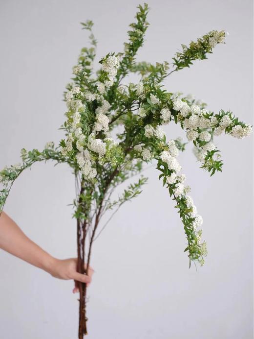 【周四秒杀】意境手球花一份49.8元 商品图0