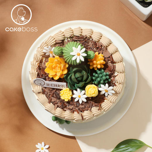 春日限定  “森之物语”多肉乳酪芝士蛋糕 商品图0