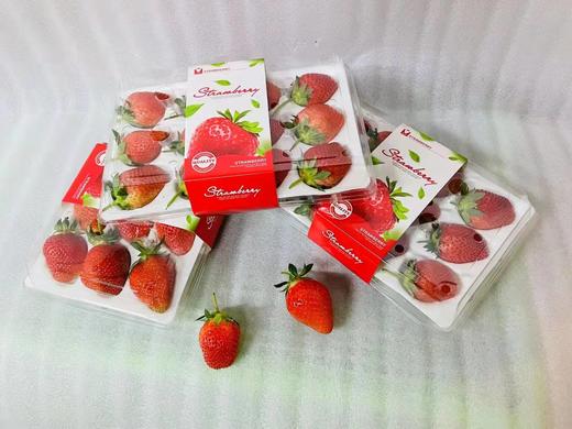 精装草莓 12枚/盒 酸甜爽口 肉厚多汁 商品图3