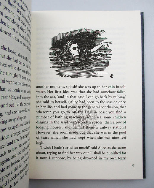 爱丽丝梦游仙境 英文原版 Alice's Adventures in Wonderland Puffin Classics 儿童文学书精装 V&A收藏系列 中小学英语课外阅读书 商品图2