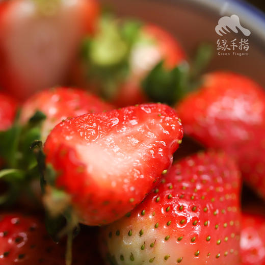 生态河北草莓 |合作生产 * Ecological strawberry | Coproduction 商品图2