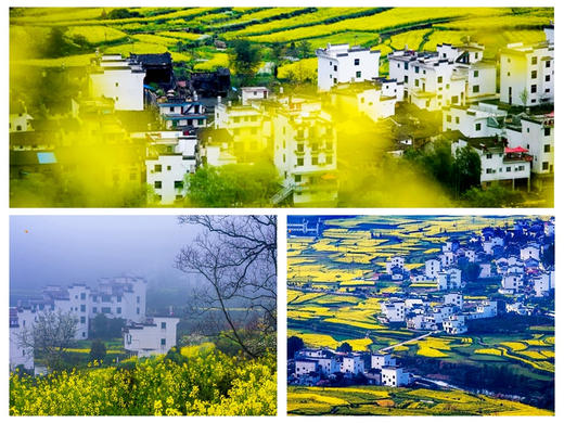 【婺源全景2日】中国最美乡村の赏江岭梯田油菜花-品徽州古村浓郁文化 商品图7