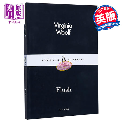 【中商原版】LBS:  120 Flush 英文原版 小黑书: 120 伍尔夫：阿弗小传 Virginia Woolf 商品图0