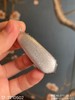 老坑帝王绿福豆吊坠 【17-2210502】具体价格微信咨询 商品缩略图8