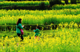 春季养生要点四：给予，是内心最大的修炼