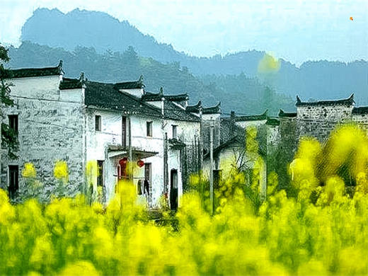 【婺源全景2日】中国最美乡村の赏江岭梯田油菜花-品徽州古村浓郁文化 商品图3