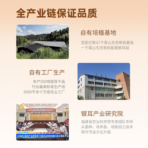 金燕耳高山生态有机银耳干货80g白木耳古田莲子银耳羹即食糯耳（80克/一罐） 商品图5