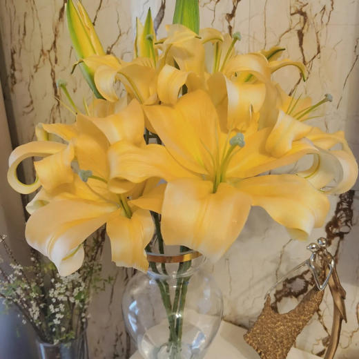 【皇帝香水百合】2头5支10朵/份  (杆子偏细) 商品图3