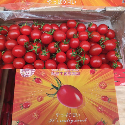 【2.23社群秒杀】34.9元！玲珑千禧小番茄果真甜整箱 约3斤 日期新鲜 甜度高 商品图1