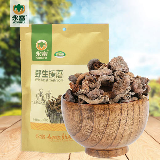 永富 野生榛蘑#100g/袋*2 商品图1